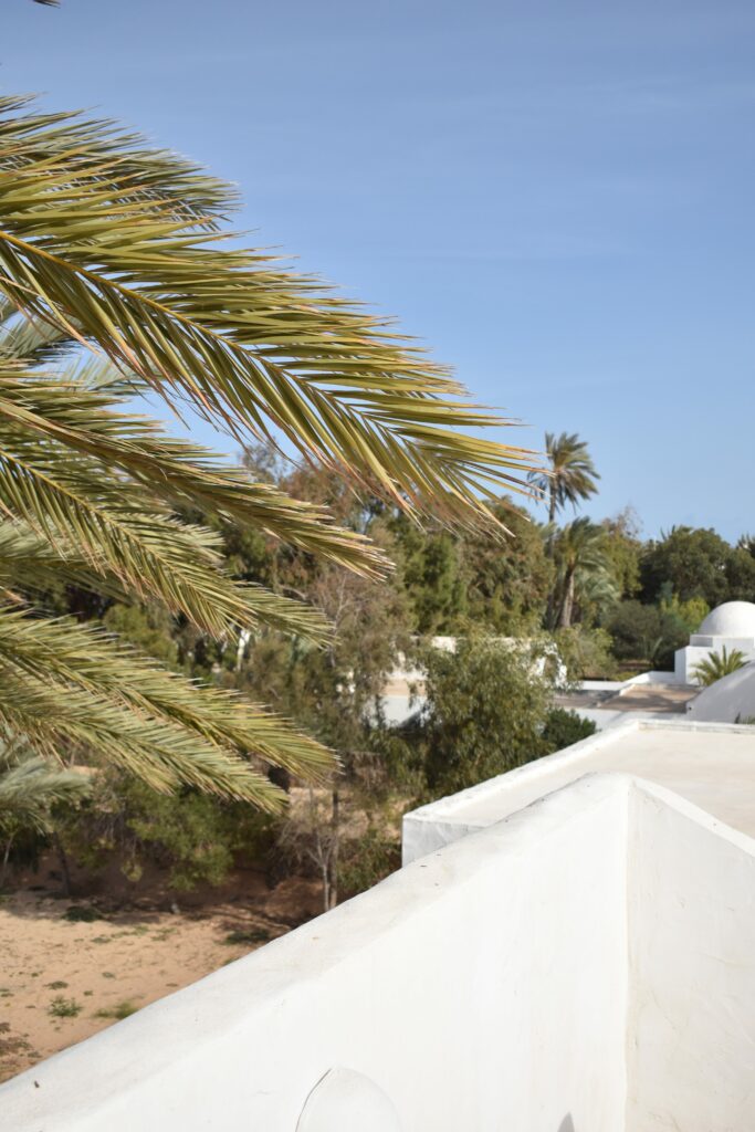 Rooftop Space - Menezel Jerba